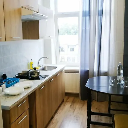Apartment City Center Rent With Free Parking N46